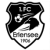 FC 1906 Erlensee